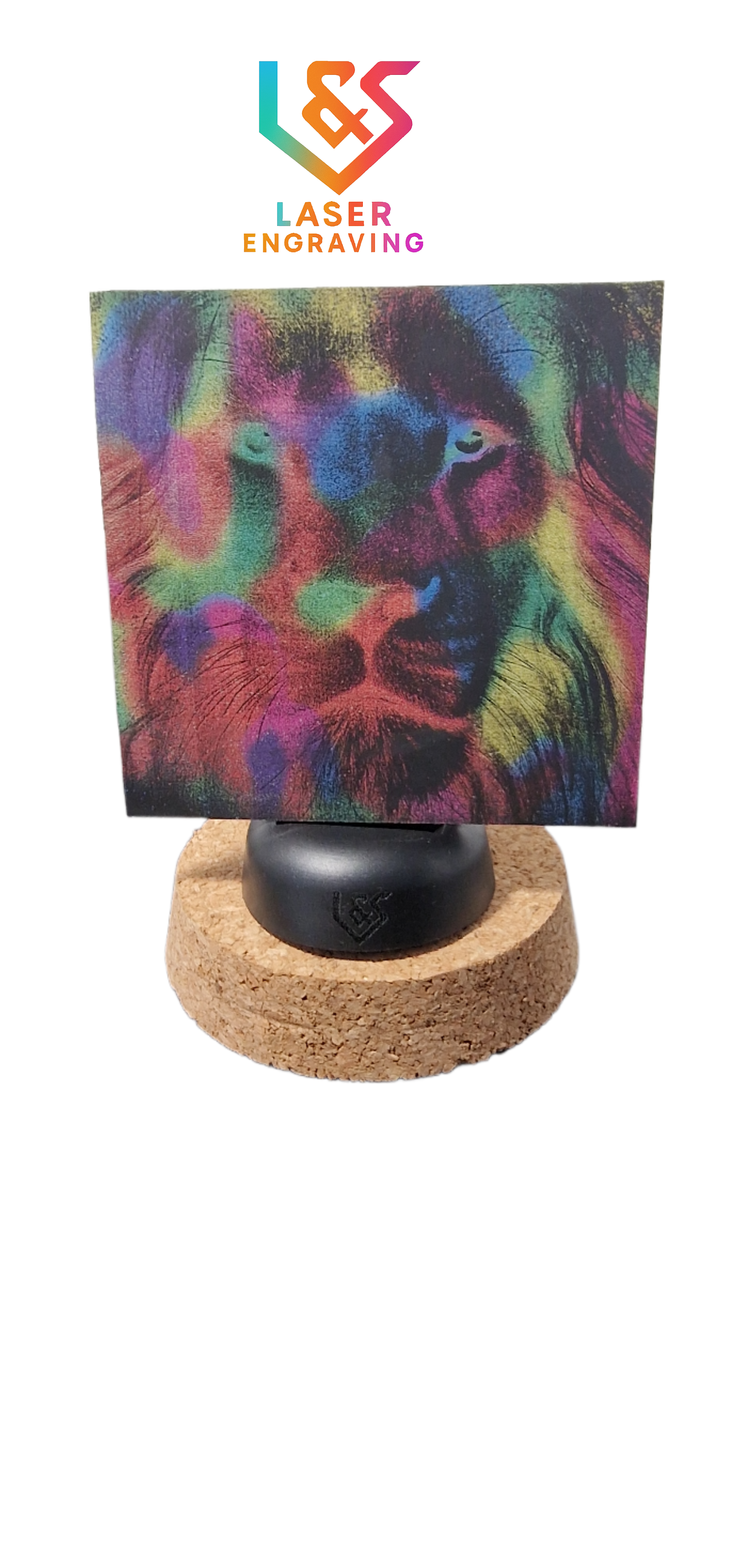 Lion Scratch